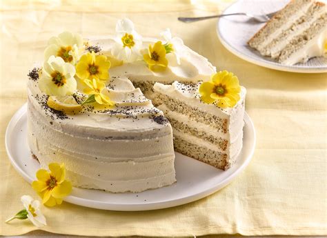 Krémová torta