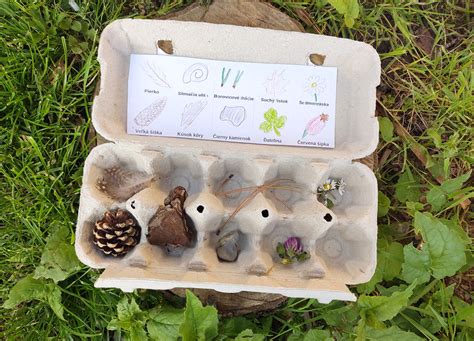 Ilustrácia obalu od vajíčok s rôznymi možnosťami využitia