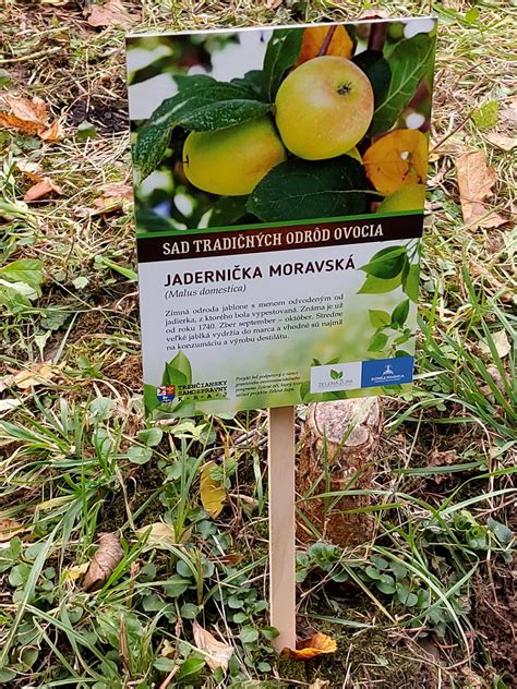 Mapa rozšírenia tradičných a netradičných druhov drobného ovocia