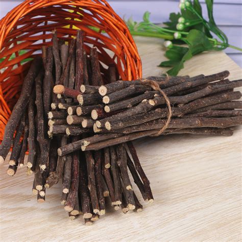 Vetvičky na obrusovanie zubov škrečka