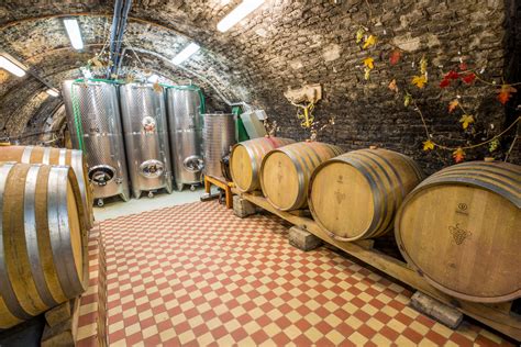 Vínna pivnica Penziónu Kalvín