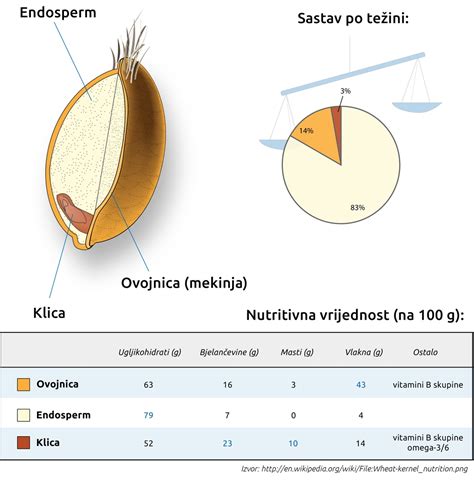 zloženie celozrnného zrna