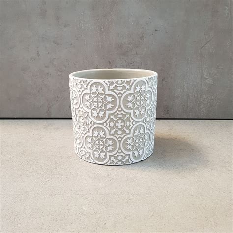 Črepník s mladou rastlinou karamboly