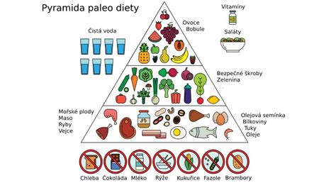 Zloženie paleo stravy