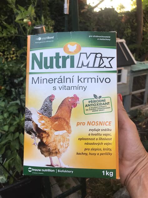 Zloženie vyváženej stravy pre sliepky