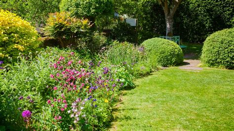 Typy pôdy v záhrade