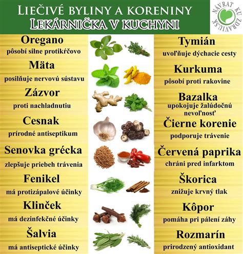 Infografika znázorňujúca účinky rôznych bylín na dýchacie cesty