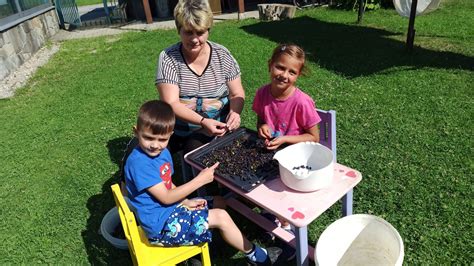 čistenie čučoriedok