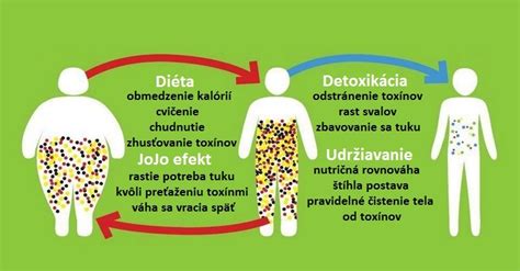 Ilustrácia detoxikácie organizmu