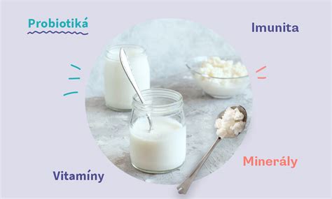 Ilustrácia fermentovaných sójových produktov