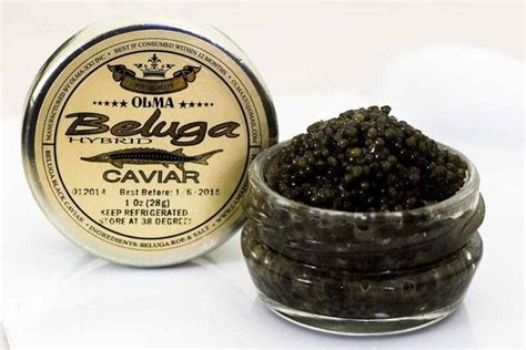 Kaviár Beluga