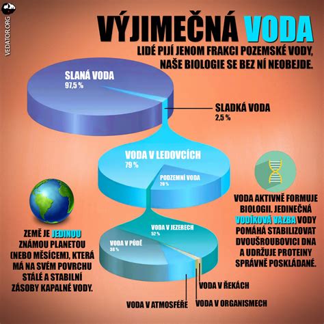 Schéma vyváženia chutí v marináde: sladká, kyslá, slaná, pikantná