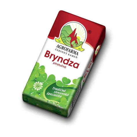 Ilustrácia syra bryndza