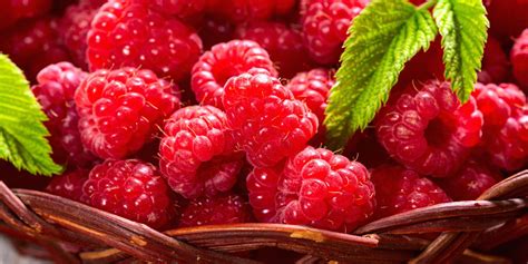 Schéma zdraviu prospešných látok v tekvicových jadierkach