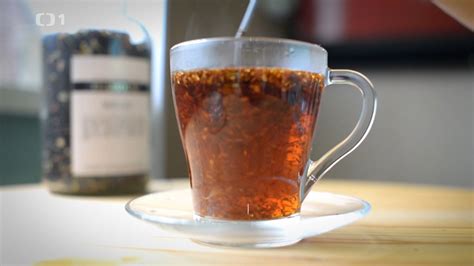 Bylinky na podporu dýchacích ciest