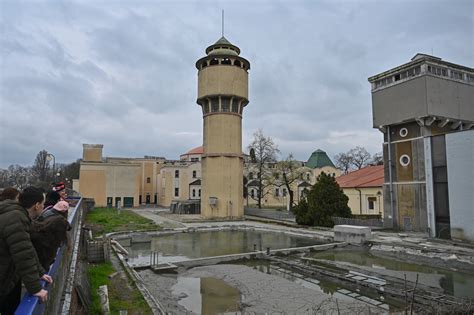 Fotografia hotového Piešťanského rezňa