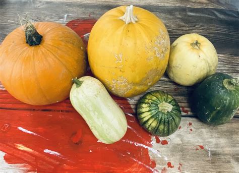 Ilustrácia špagetovej tekvice a jej vláknitej dužiny