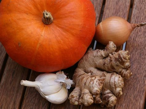 Rôzne druhy okrasných tekvíc