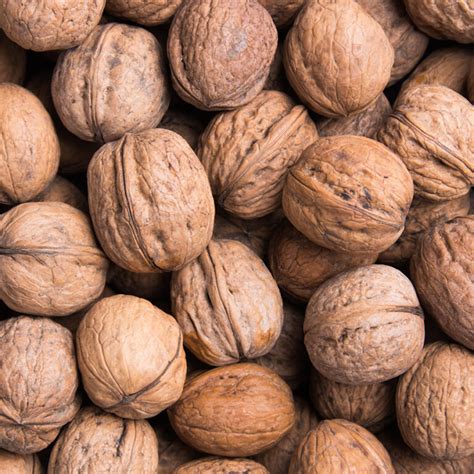 Ilustračná fotografia vlašských orechov