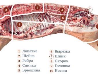 Časti diviačieho mäsa vhodné na rôzne úpravy