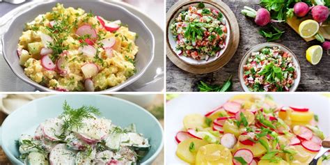 Zostava rôznych druhov šalátov ako prílohy