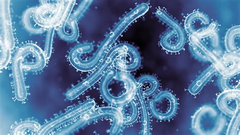Ilustrácia vírusu spôsobujúceho gastroenteritídu