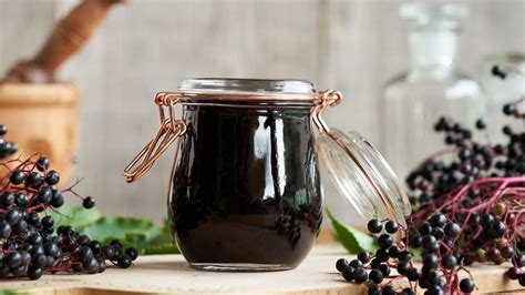 Zber plodov bazy čiernej