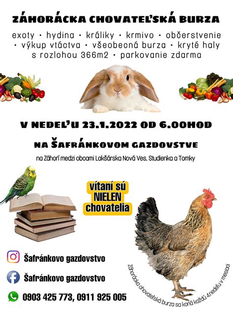 Fotografia rôznych druhov krmiva a chovateľských potrieb