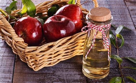 Súbor rôznych prírodných ingrediencií ako citrón, jablčný ocot, olivový olej, sóda bikarbóna a bylinky.