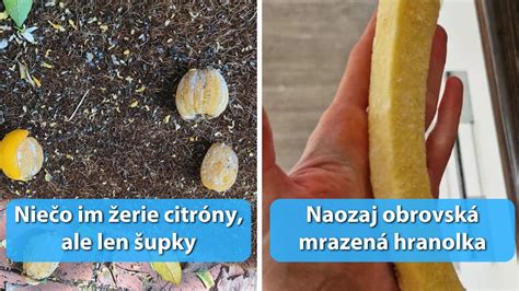 Rozdiel v hrúbke tenkej a hrubej tortovej oblátky