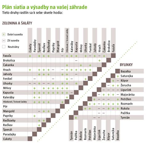 Schéma zmiešaných kultúr zeleniny