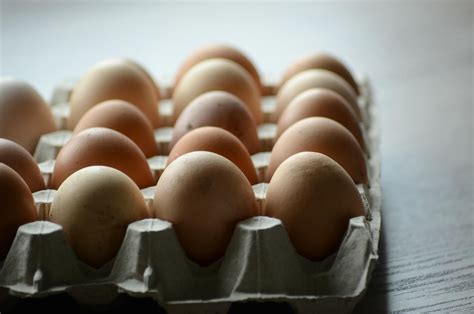 Slovenské farmy produkujúce vajcia