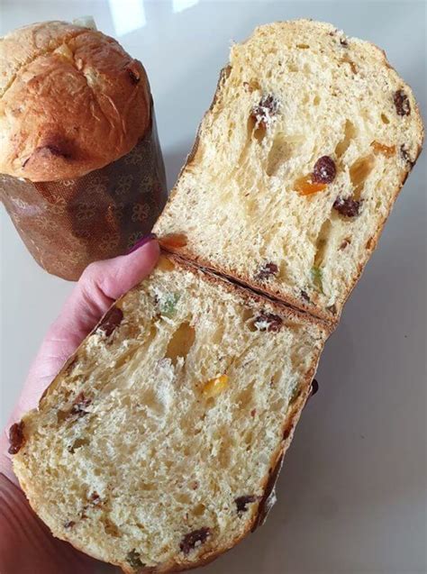 kváskové Panettone