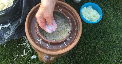 Fermentácia kapusty