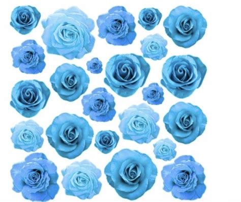 Krémové ruže na tortu