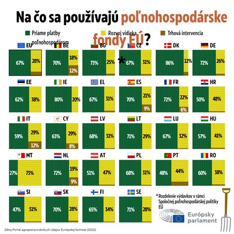 Infografika znázorňujúca kariérne možnosti po pomaturitnom štúdiu