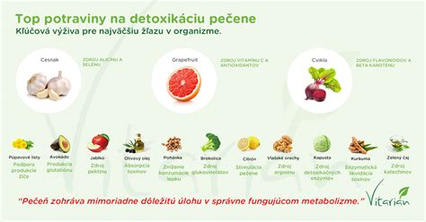 Infografika o funkciách pečene