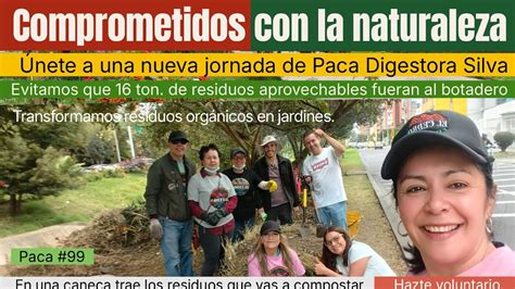 Ilustrácia digestora De'Longhi