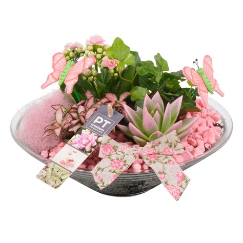 Vizualizácia zapekaného jedla v sklenenej mise