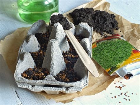 Predpestovanie sadeníc v obale od vajec