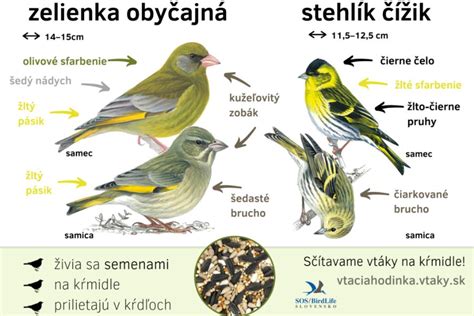 Ukážka rôznych druhov strukovín