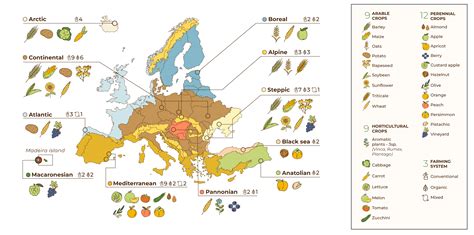 Mapa pestovania kapusty a kelu