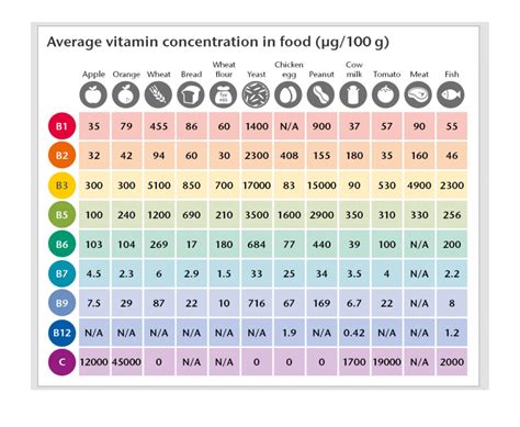 Porovnávacia infografika vitamínov v kelu a kapuste