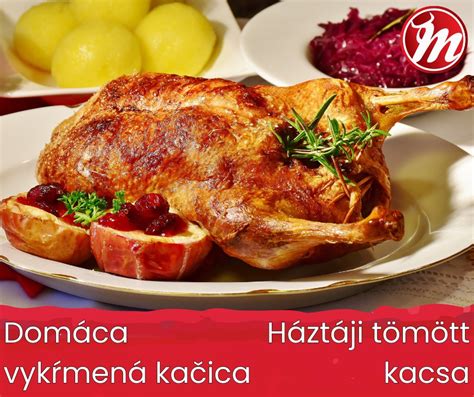 Infografika o nutričných hodnotách husacieho mäsa