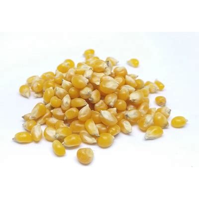 Príprava popcornu v hrnci