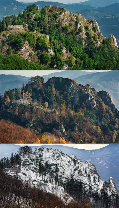 Fotografia rôznych variácií lokší s pečeňkou