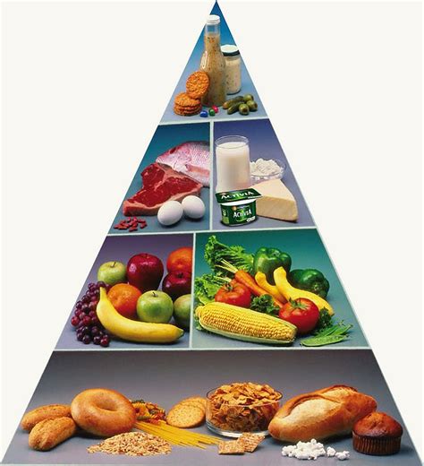 Ilustračný obrázok potravinovej pyramídy delenej stravy