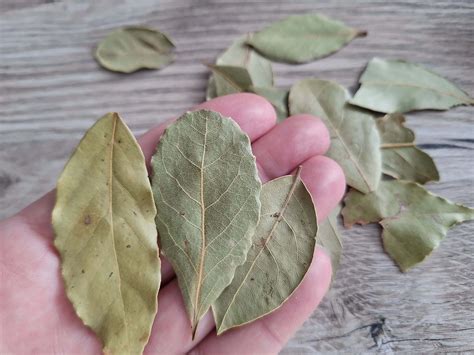 Ingrediencie na varenie bôčika: bobkový list, korenie, cesnak