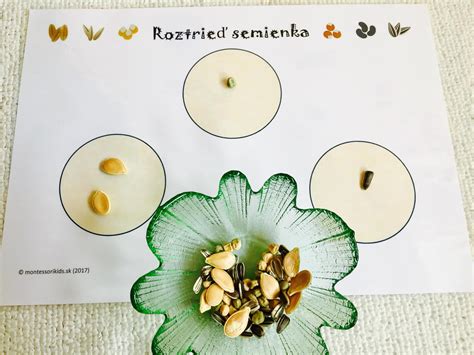 Deti vytvárajú kvety pomocou zemiakových pečiatok