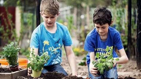 Deti pracujú v záhrade a starajú sa o rastliny